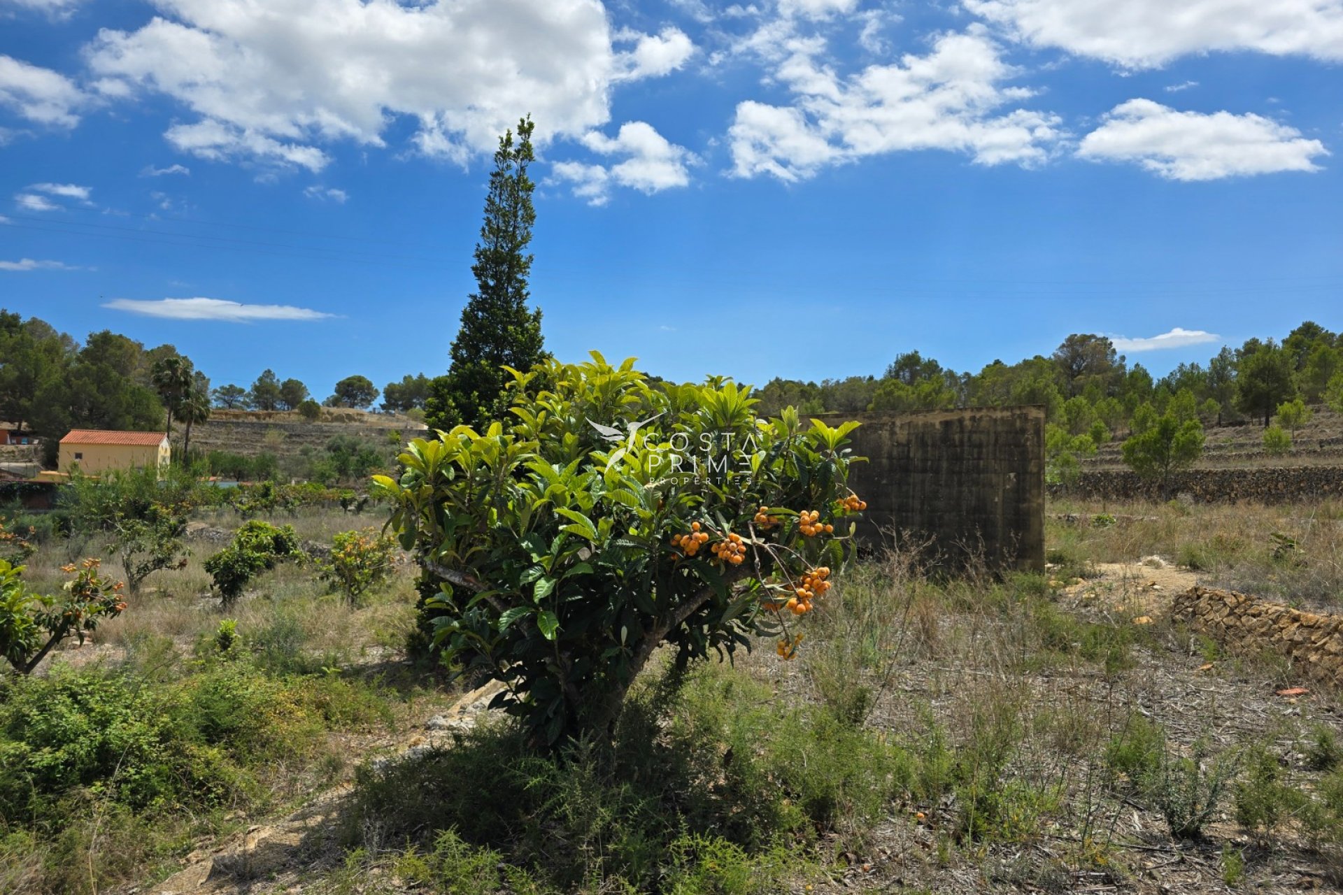 Reventa - Chalet / Villa - La Nucía