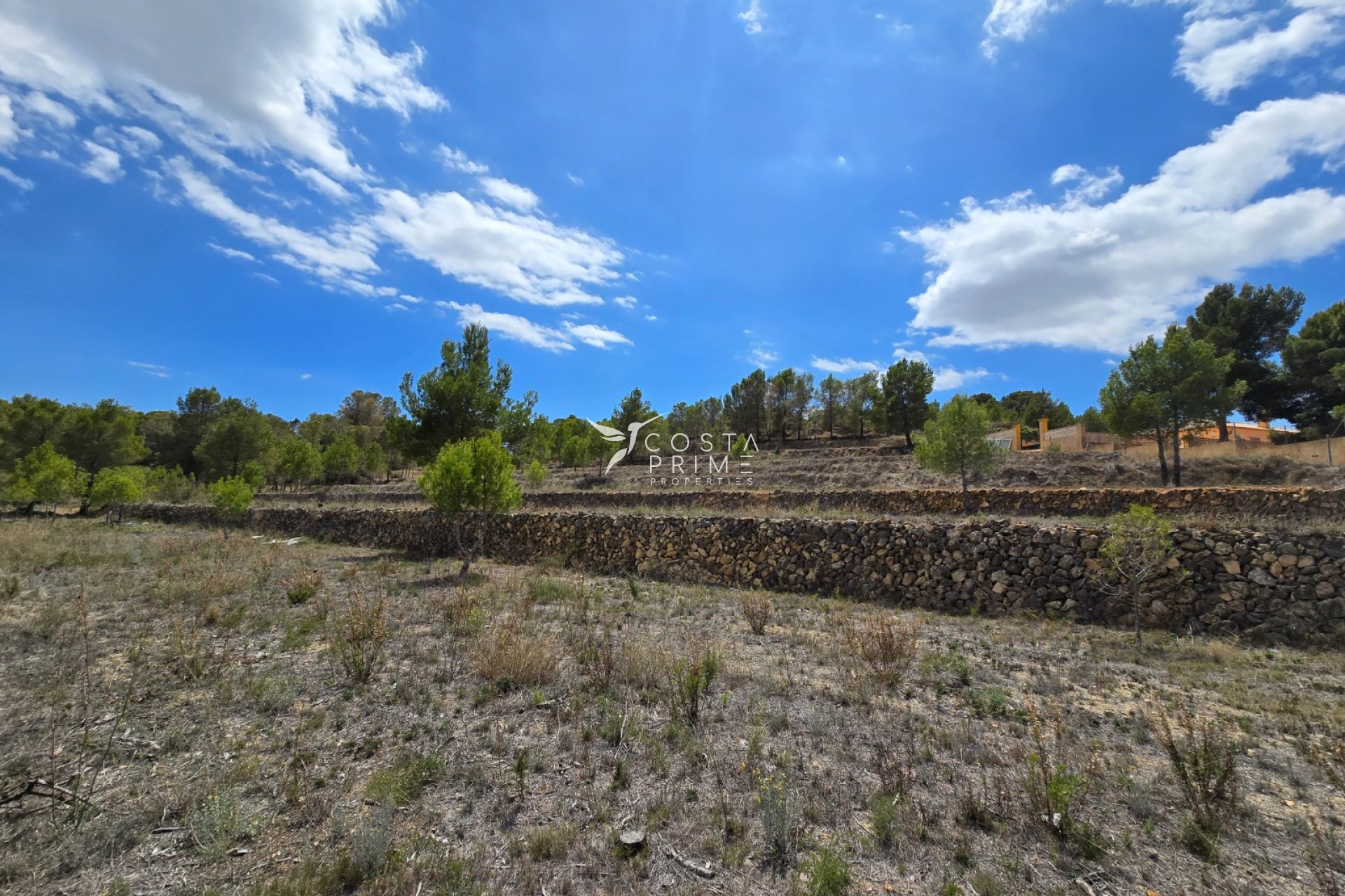 Reventa - Chalet / Villa - La Nucía