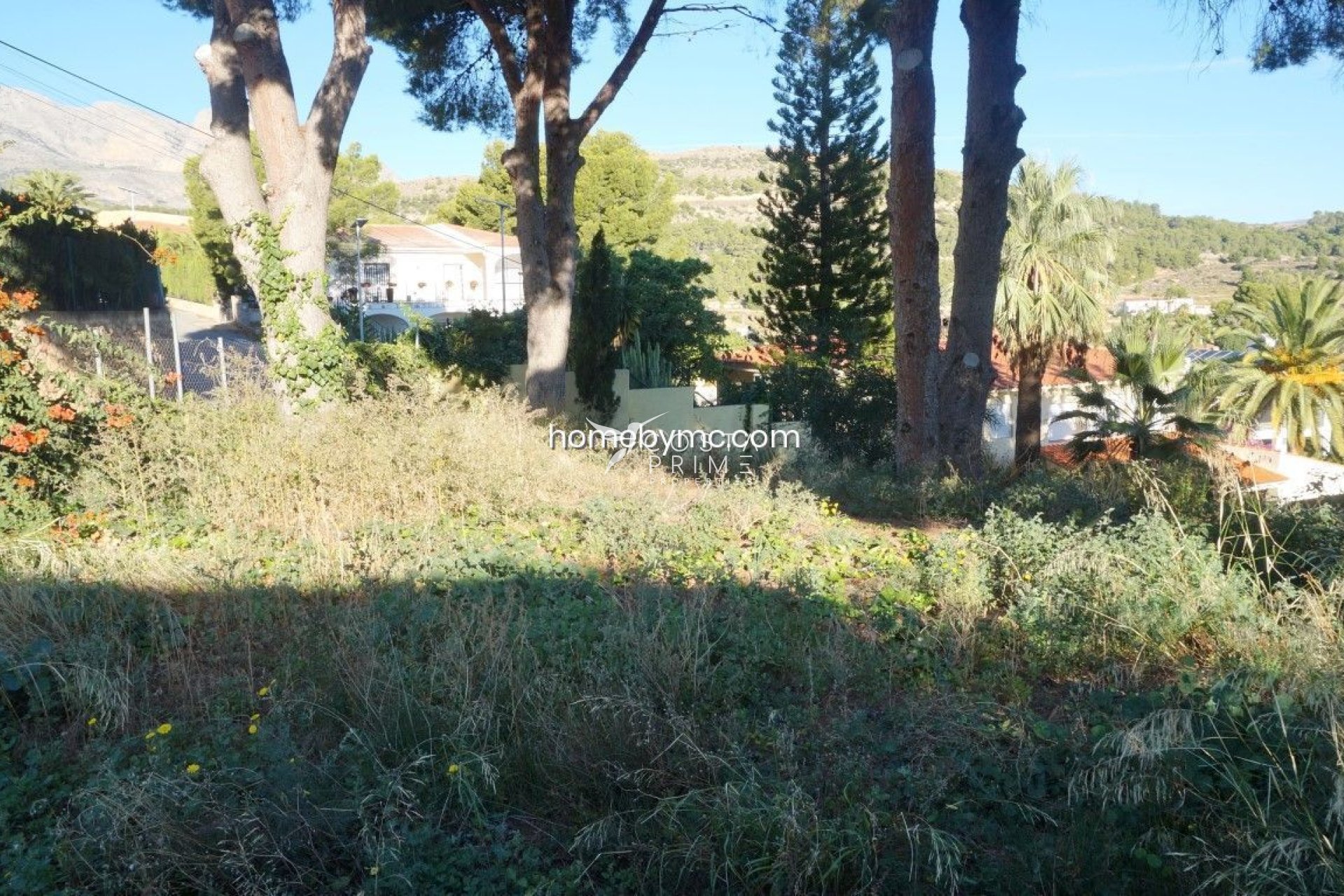 Reventa - Parcela / Terreno - Alfas del Pí