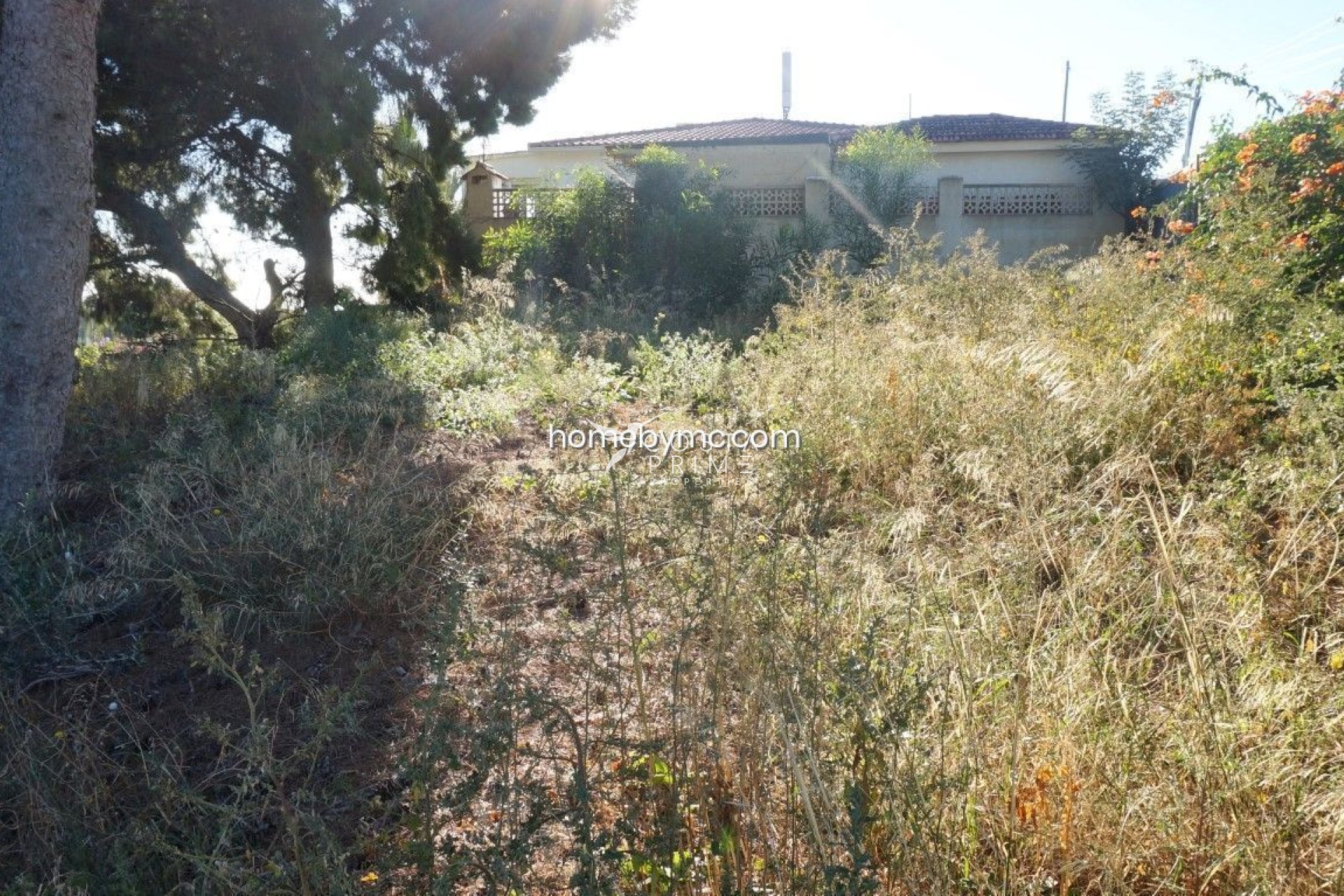 Reventa - Parcela / Terreno - Alfas del Pí