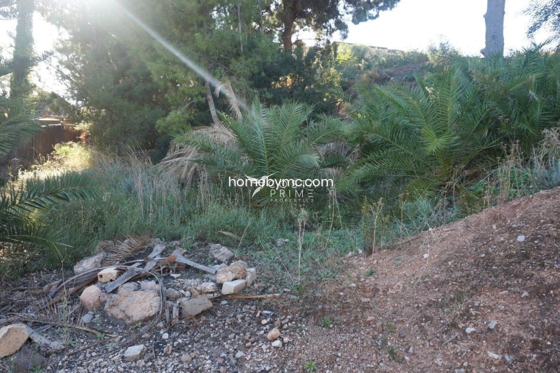 Reventa - Parcela / Terreno - Alfas del Pí