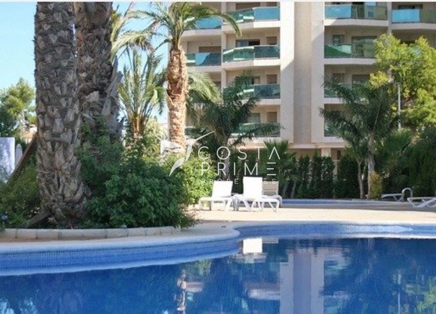 Új építésű - Apartman / lakás - Calpe