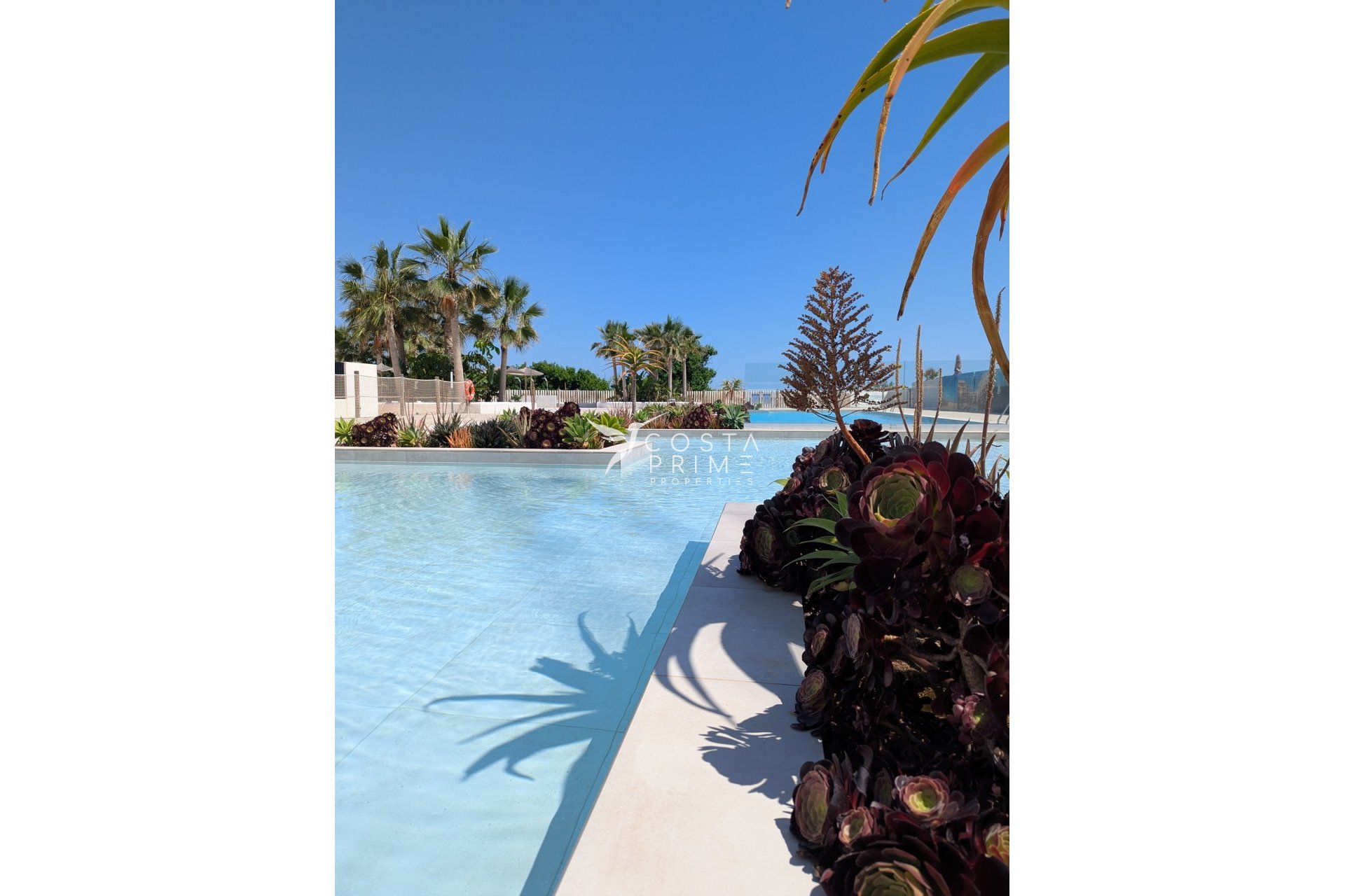 Új építésű - Apartman / lakás - Denia