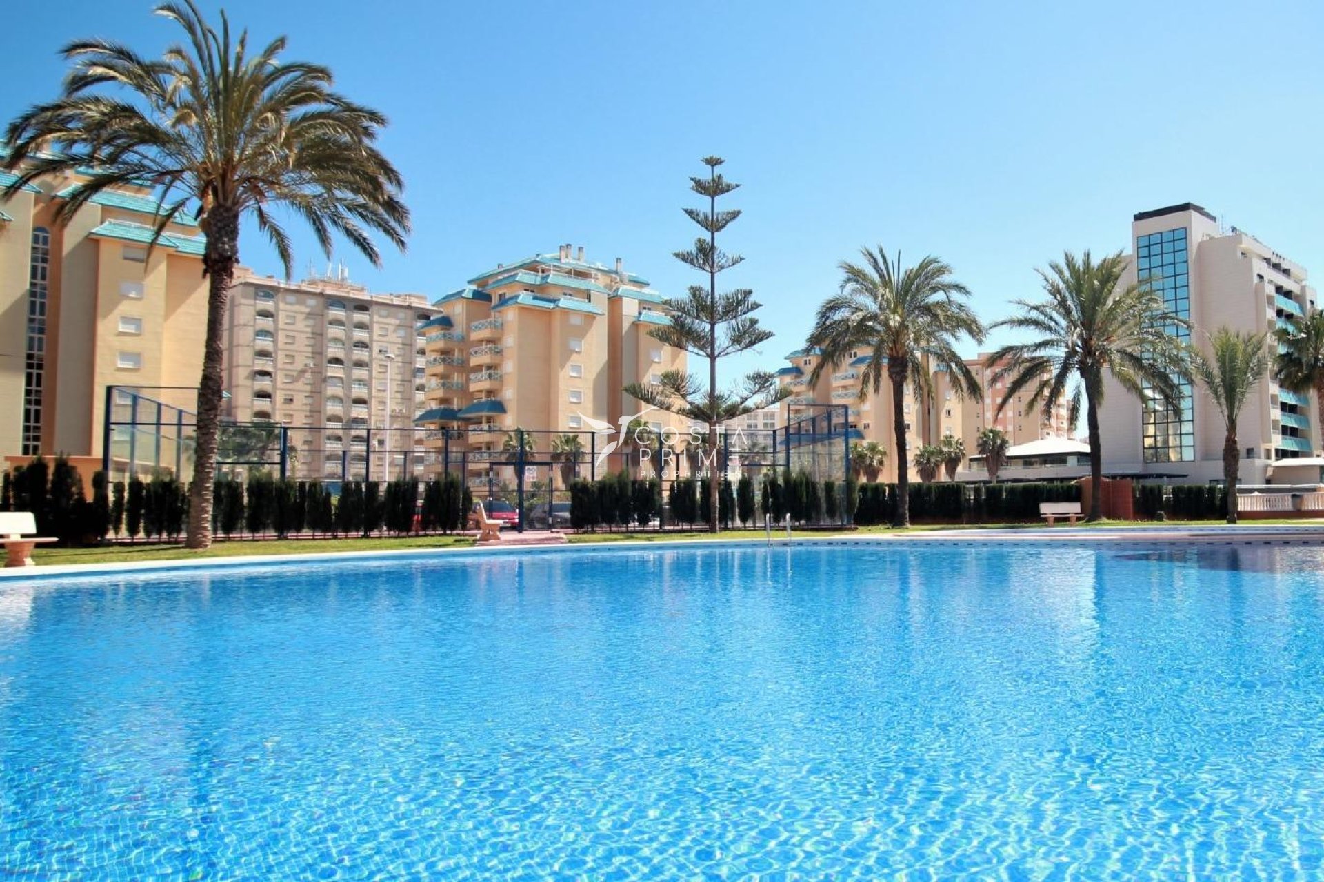 Új építésű - Apartman / lakás - La Manga del Mar Menor