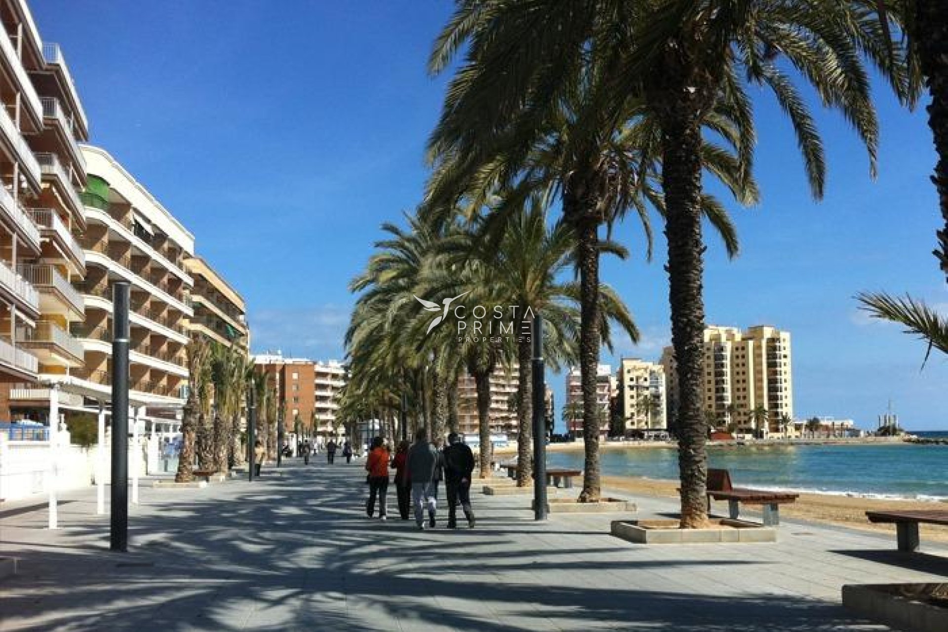 Új építésű - Apartman / lakás - Torrevieja