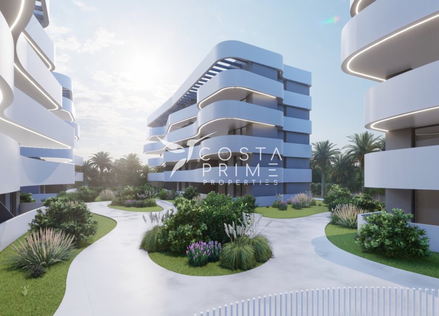 Új építésű - Penthouse - Guardamar del Segura