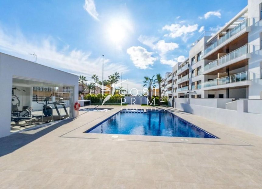 Új építésű - Penthouse - Torrevieja