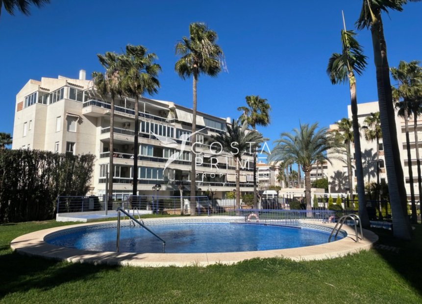 Újraértékesítés - Apartman / lakás - Albir