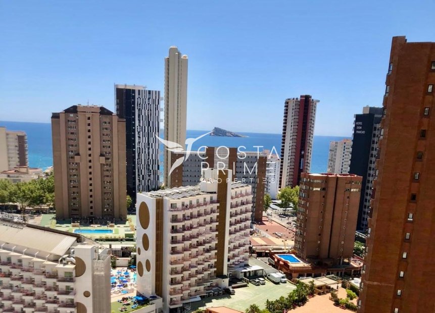 Újraértékesítés - Apartman / lakás - Benidorm