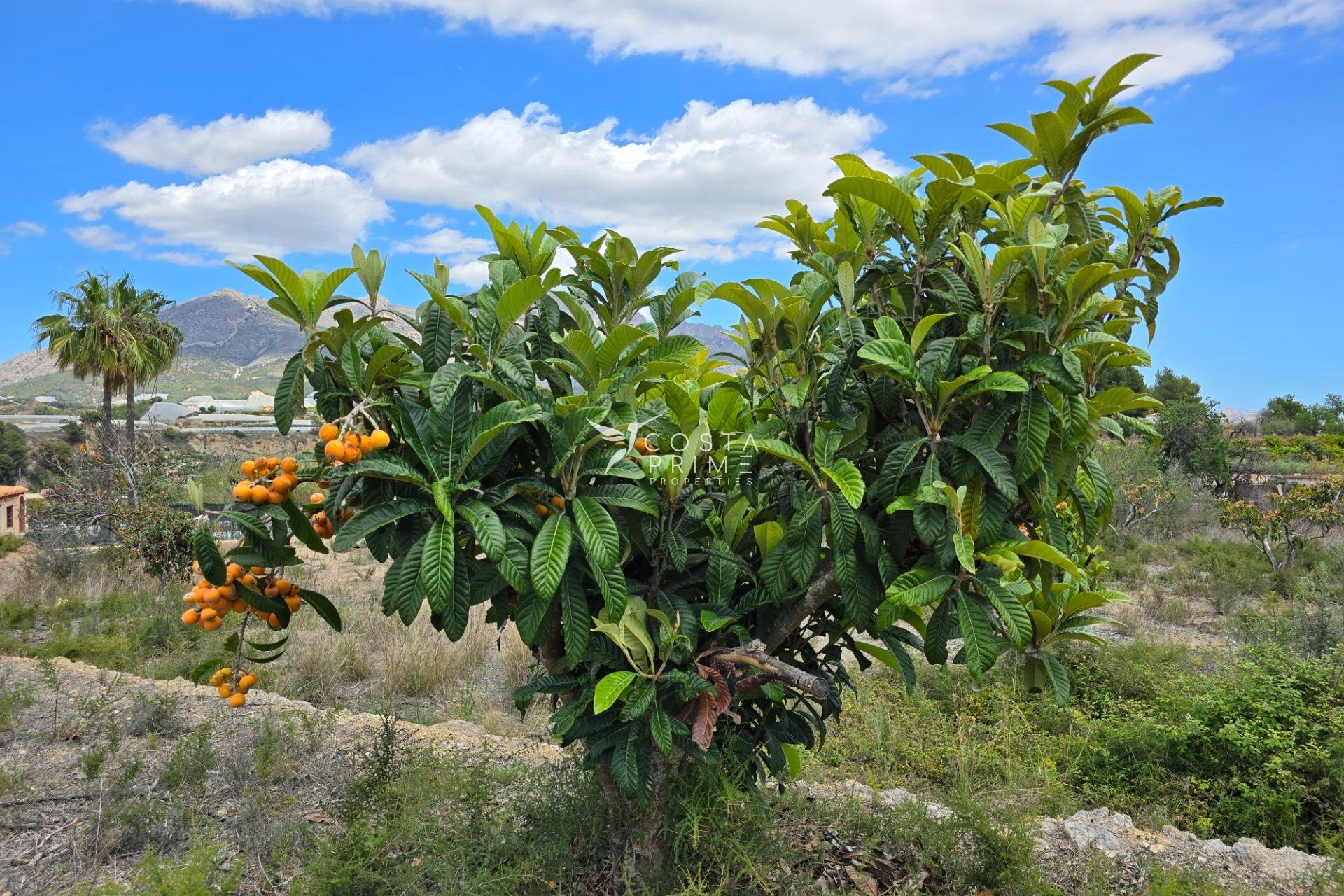 Újraértékesítés - Telek / földterület - La Nucía