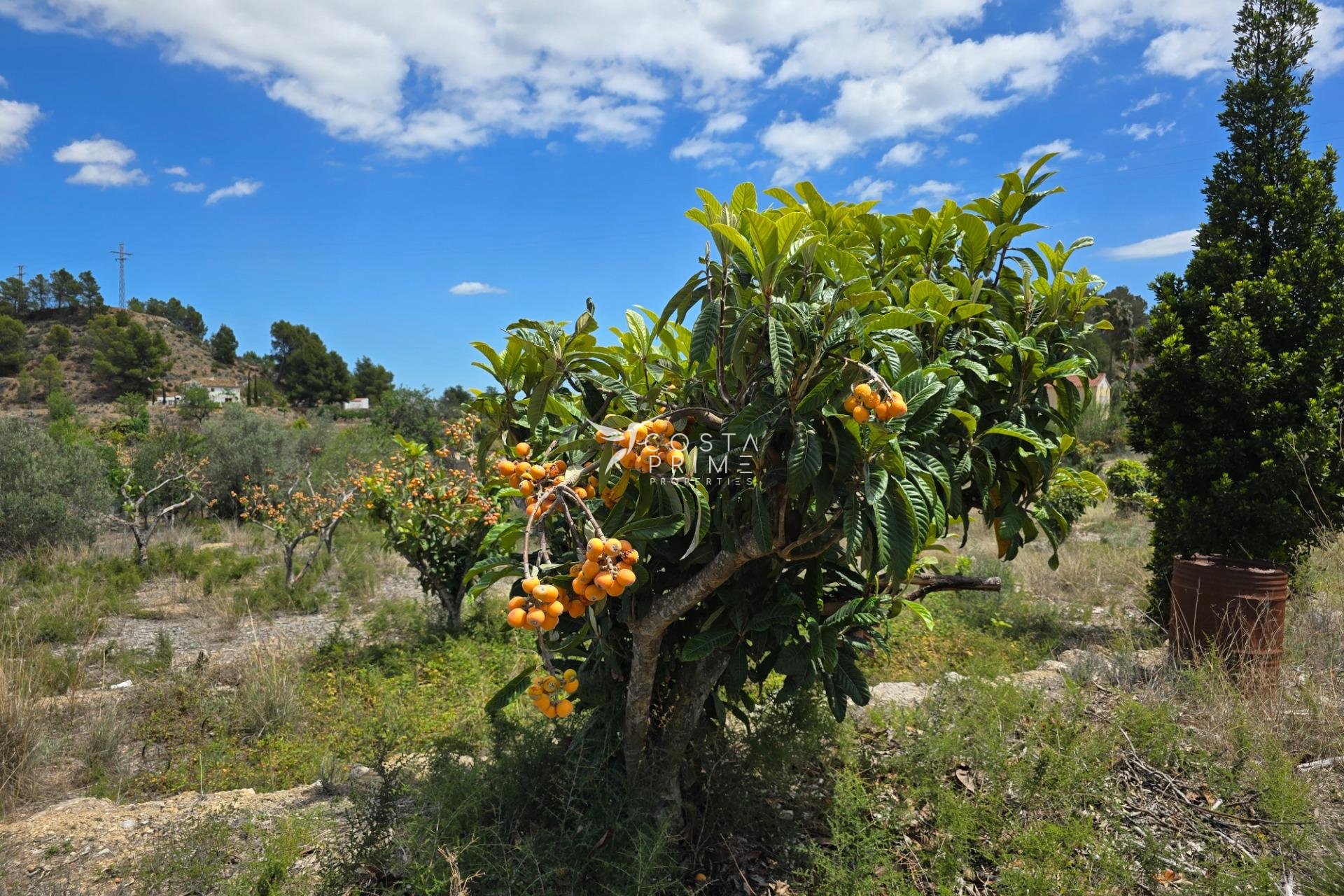 Újraértékesítés - Telek / földterület - La Nucía