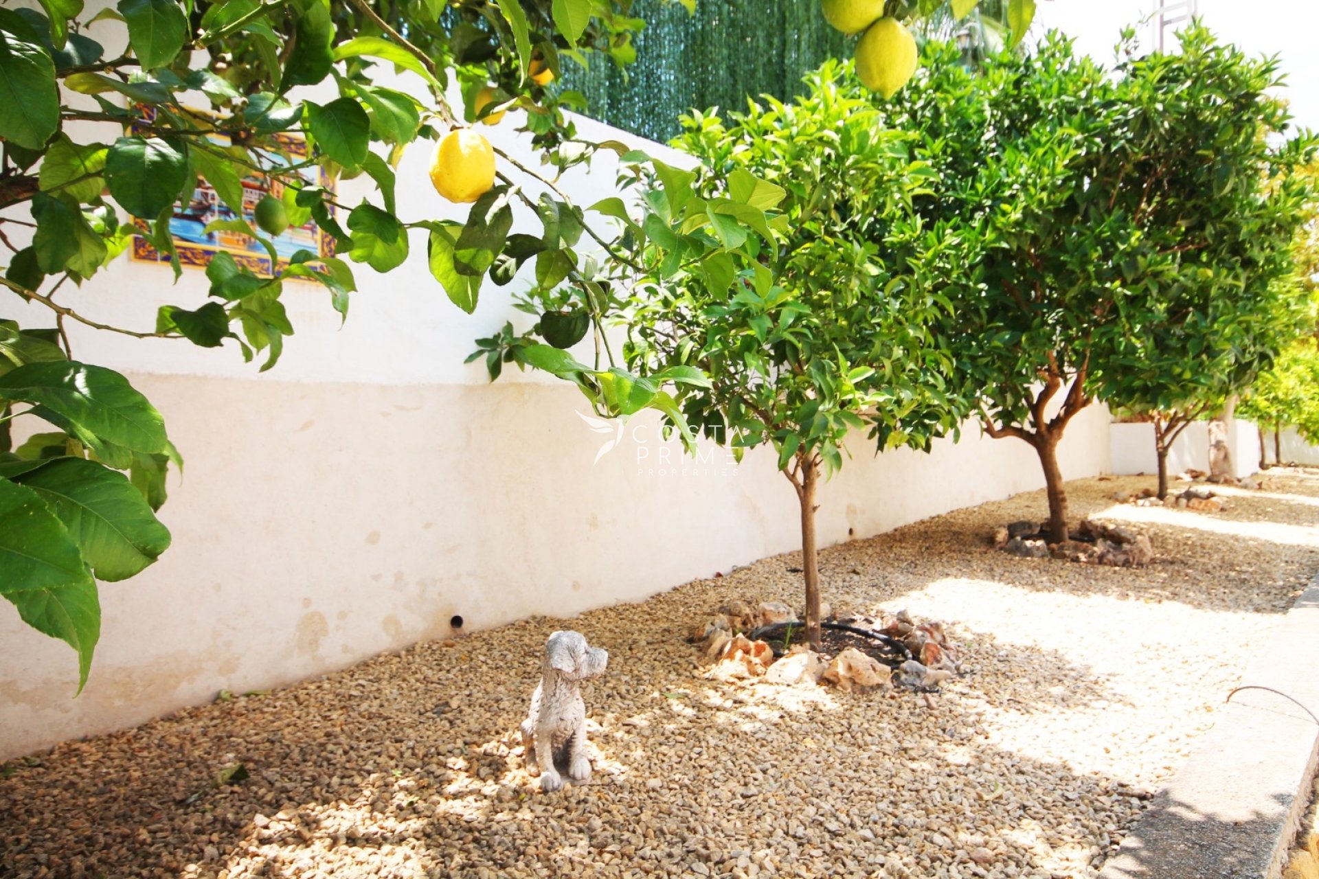 Újraértékesítés - Villa  - Albir