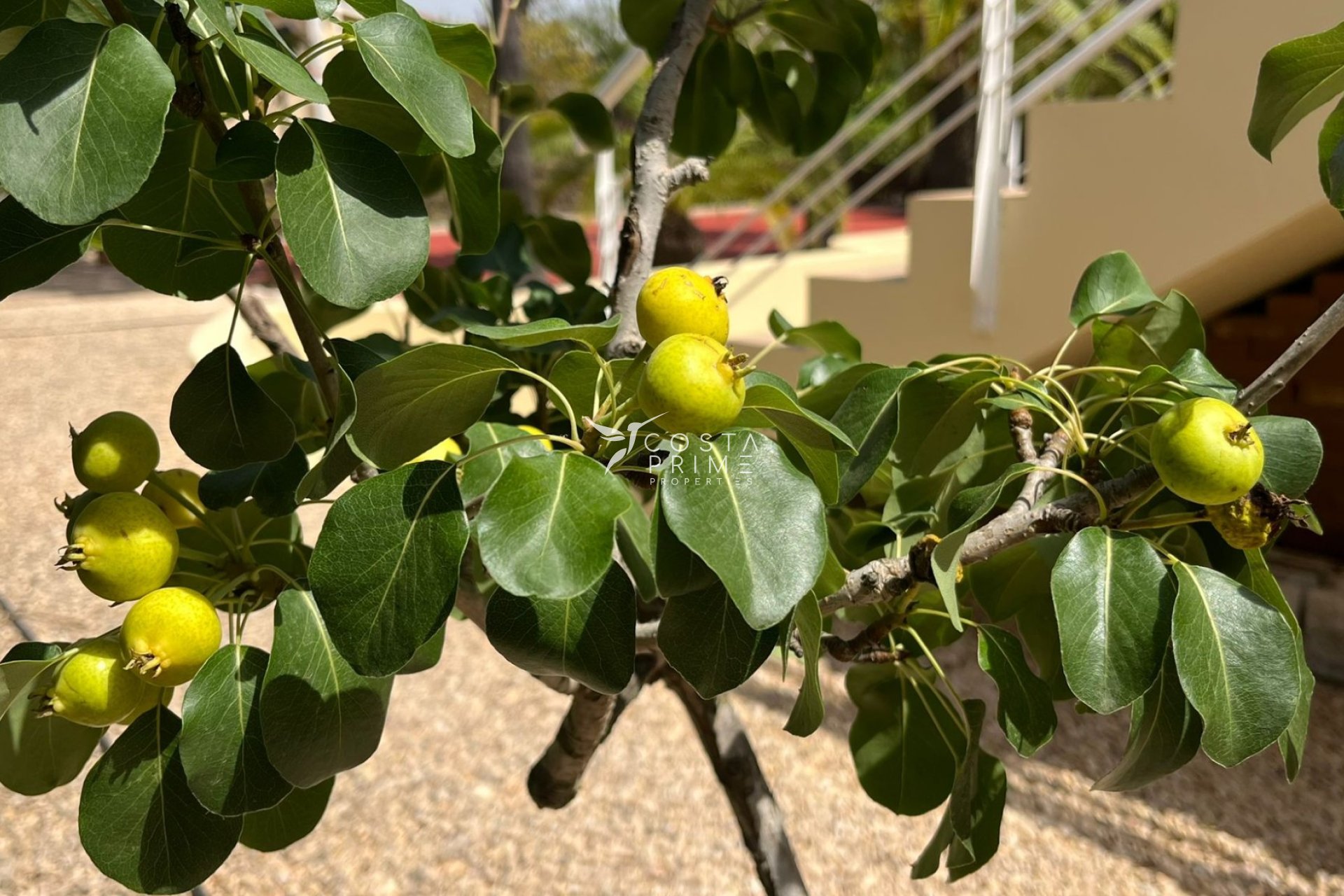 Újraértékesítés - Villa  - Benidorm