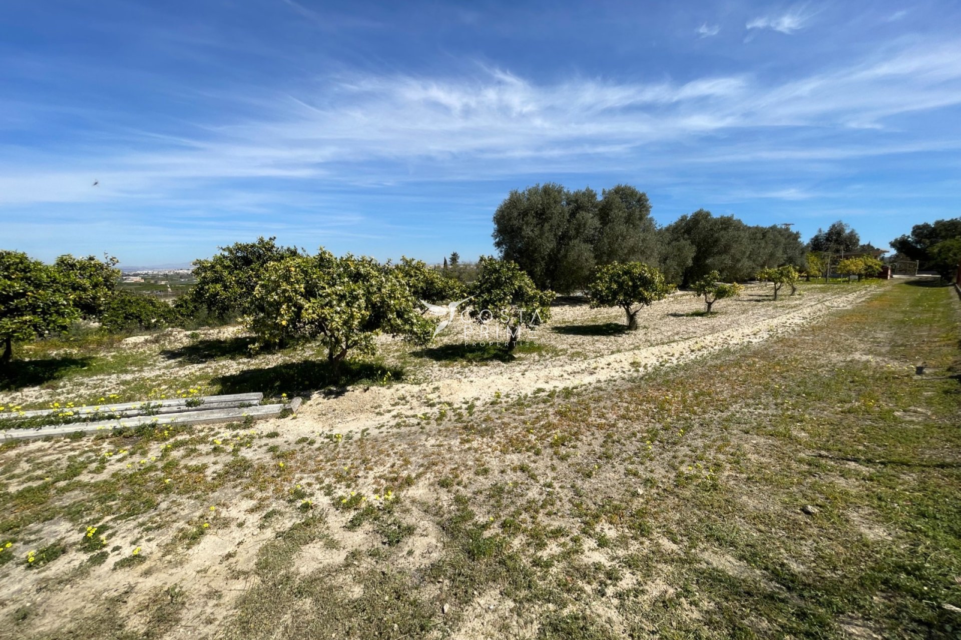 Újraértékesítés - Villa  - Guardamar del Segura