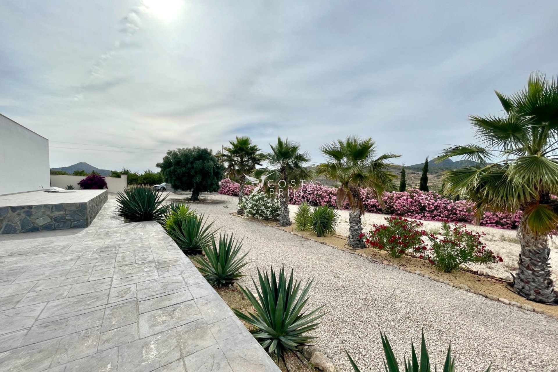 Újraértékesítés - Villa  - Macisvenda