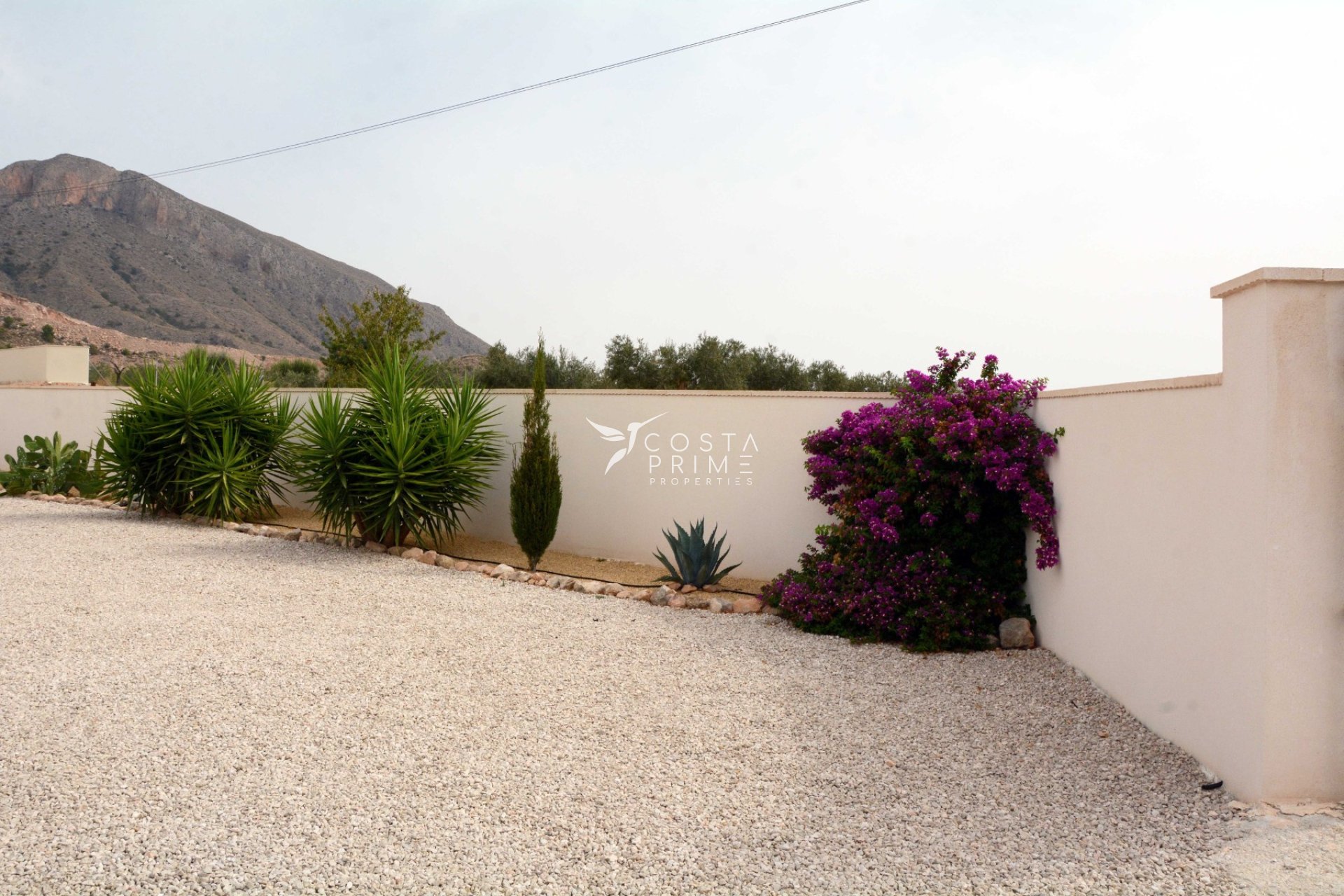 Újraértékesítés - Villa  - Macisvenda