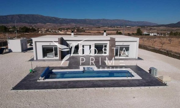 Villa  - New build - Pinoso - Camino Del Prado