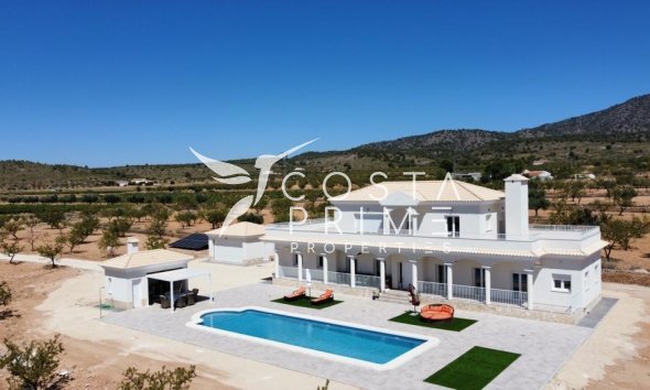 Villa  - New build - Pinoso - Camino Del Prado