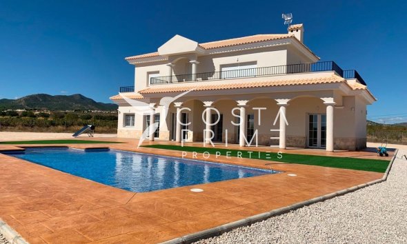 Villa  - New build - Pinoso - Camino Del Prado