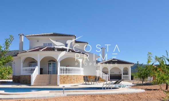 Villa  - New build - Pinoso - Campo