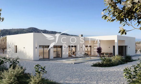 Villa  - New build - Pinoso - Pinoso