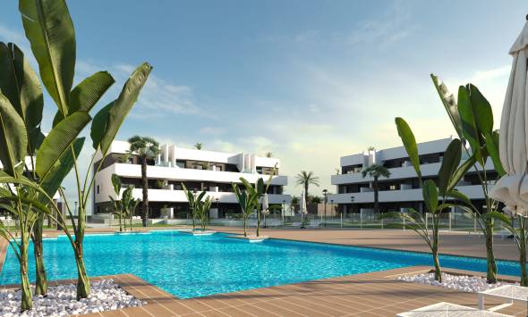 Oasis Laguna 2