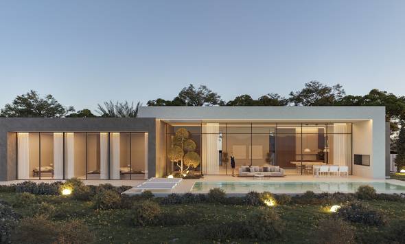 Project 027 Pla Roig