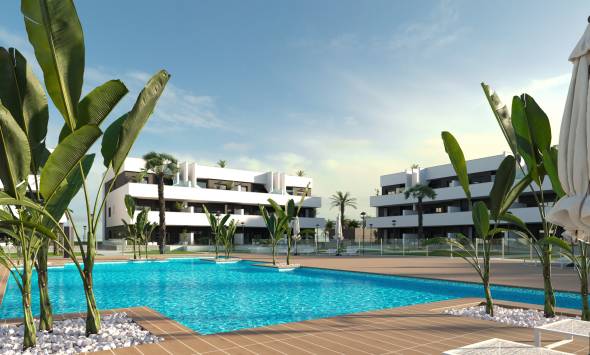 Oasis Laguna 3