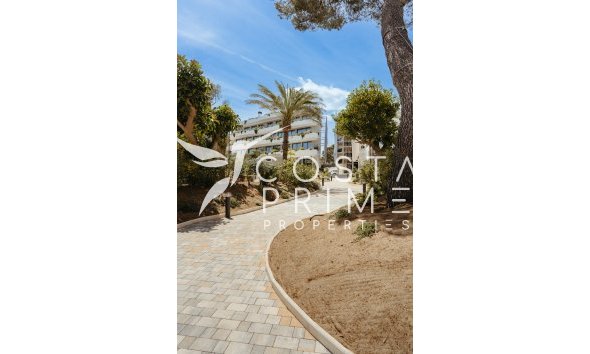 Obra nueva - Apartamento / Piso - Alfas del Pí