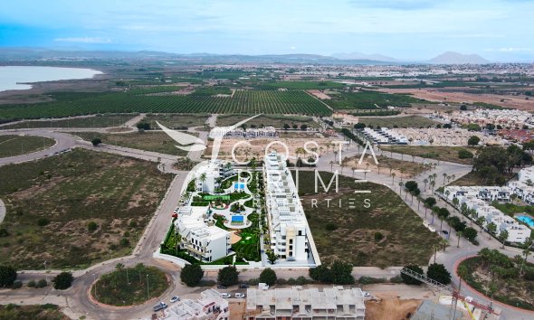 Nowy budynek - Daszek - Guardamar del Segura