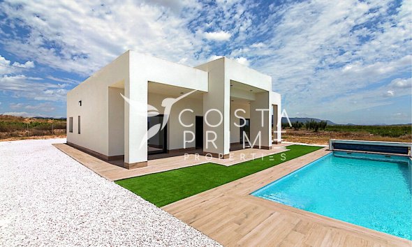 New build - Villa  - Pinoso