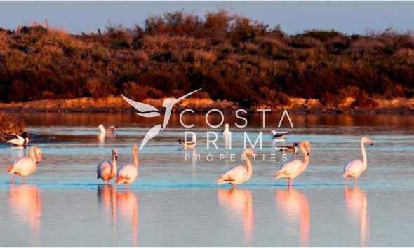 Új építésű - Villa  - San Pedro del Pinatar