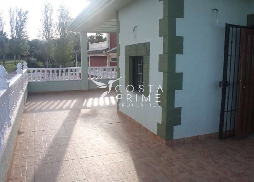 Nowy budynek - Szalet - Torrevieja