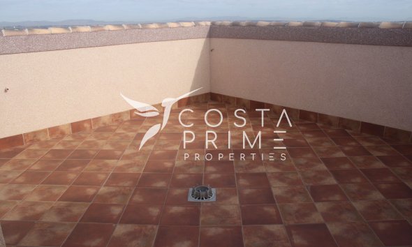 Nowy budynek - Szalet - Torrevieja