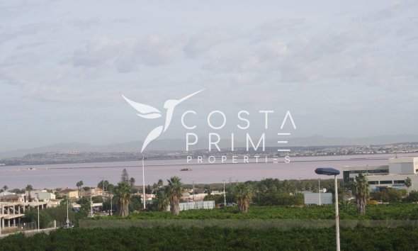 Nowy budynek - Szalet - Torrevieja