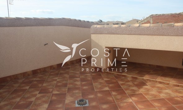 Nowy budynek - Szalet - Torrevieja