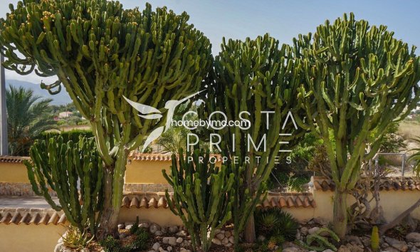 Resale - Villa  - Alfas del Pí