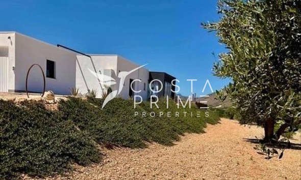 Obra nueva - Chalet / Villa - Jumilla