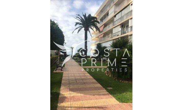 Resale - Apartment / Flat - Benidorm