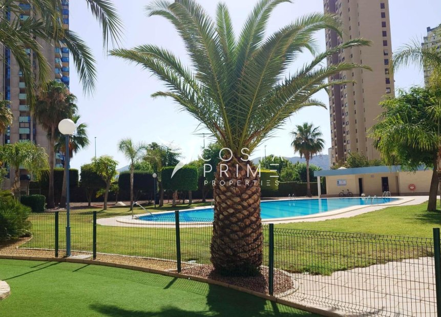 Resale - Apartment / Flat - Benidorm