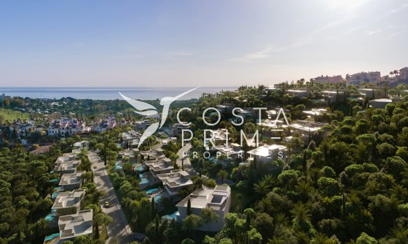 Obra nueva - Chalet / Villa - Benahavís