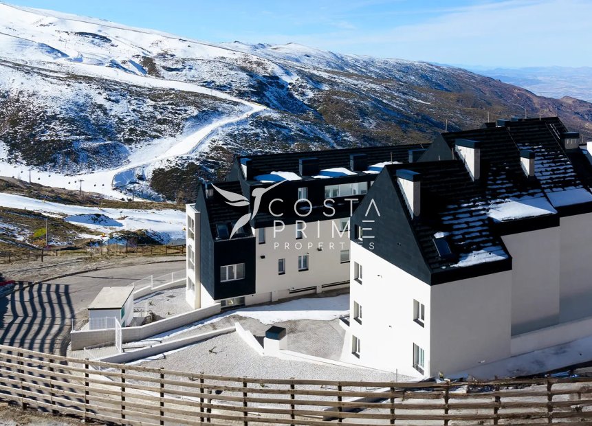 Obra nueva - Apartamento / Piso - Monachil