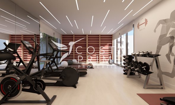 Nowy budynek - Daszek - Casares