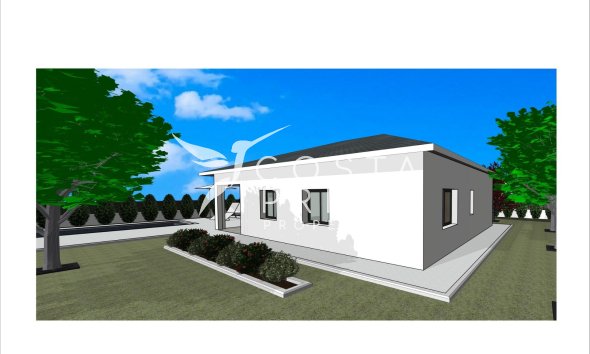 New build - Villa  - Pinoso