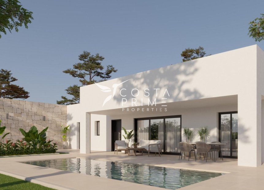 New build - Villa  - Pinoso