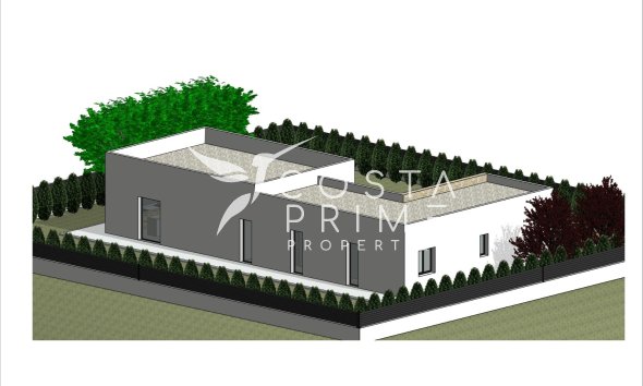 New build - Villa  - Pinoso