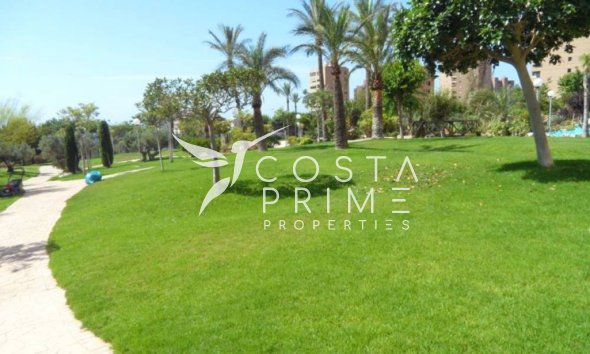 Resale - Apartment / Flat - Benidorm