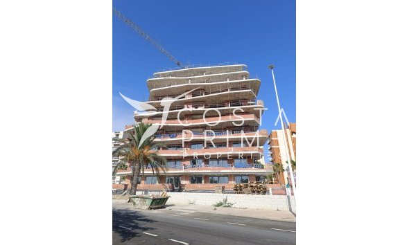 Obra nueva - Ático - Guardamar del Segura