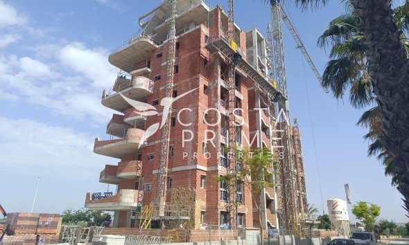 Obra nueva - Ático - Guardamar del Segura