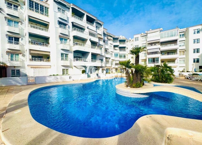 Hosszú távú bérlés - Apartman / lakás - Albir